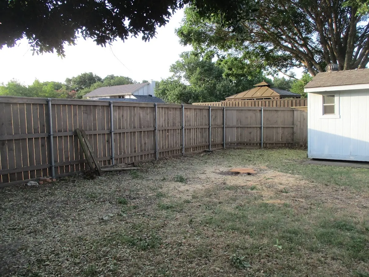 Cleared yard after professional tree removal in Nutting Lake