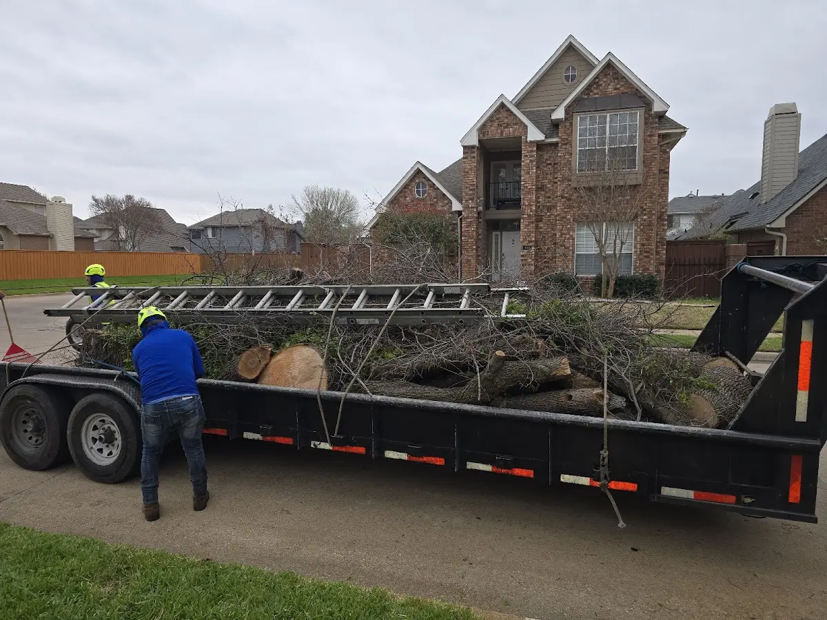 Expert Tree Pest Control with proper safety equipment in Nutting Lake
